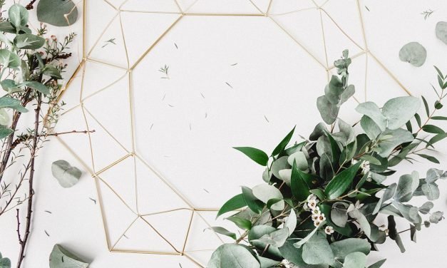 Gewinne jedes Adventwochenende: Die schönsten Jahreskalender 2019