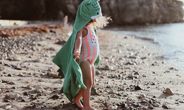 Gewinne: 3 x 1 Wet or Dry Bag von GoTravel