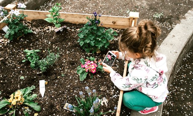 Gewinn: Zeit alles unter die Lupe zu nehmen