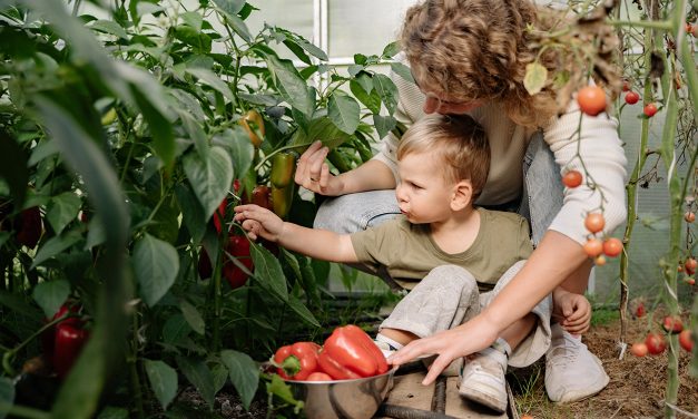 Giftpflanzen im Garten: Was Eltern wissen müssen Tipps, um Vergiftungen zu vermeiden
